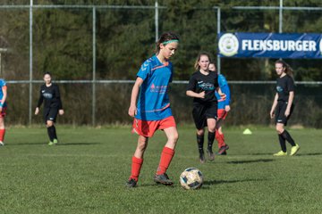 Bild 289 - C-Juniorinnen SV Steinhorst/Labenz - TSV Friedrichsberg-Busdorf : Ergebnis: 5:0